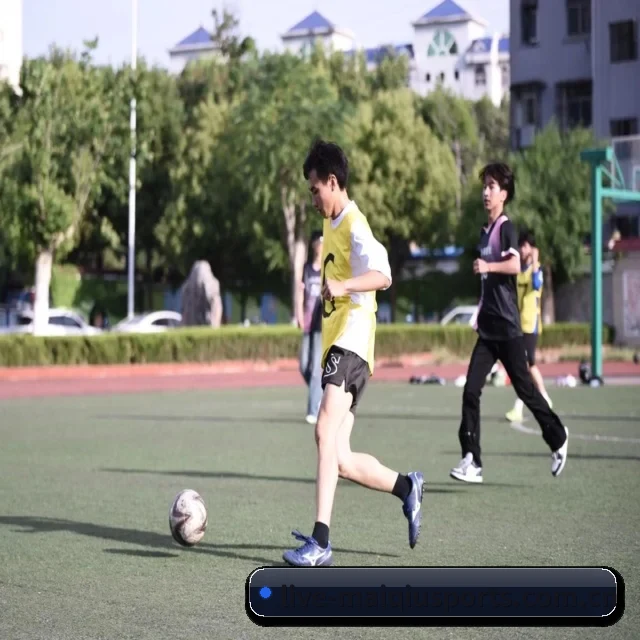买球网注册入口 APP